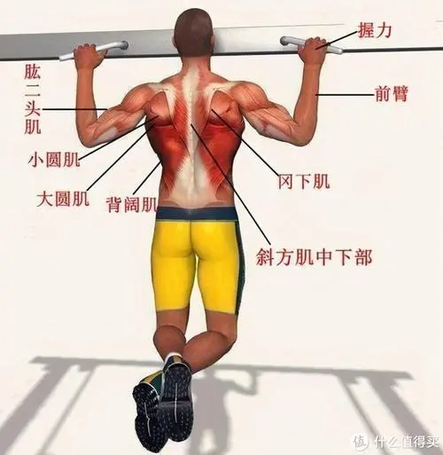 <strong>农业物联网是什么意思啊</strong>